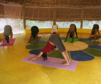 Prana Vashya Yoga @ JOY Community